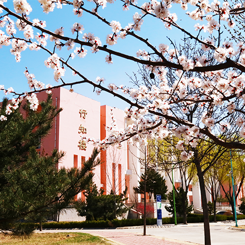 大學簡介
