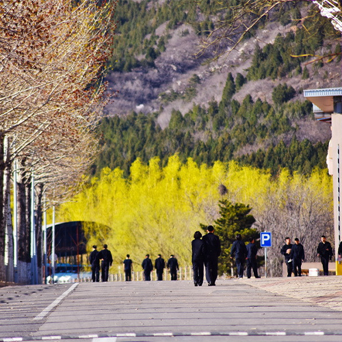 大學(xué)簡介