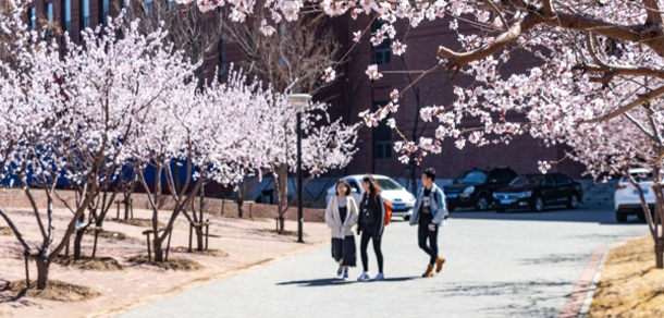 我的大學(xué)-大學(xué)志