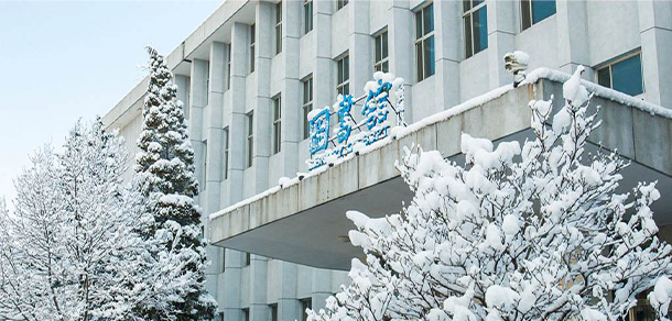 我的大學-大學志