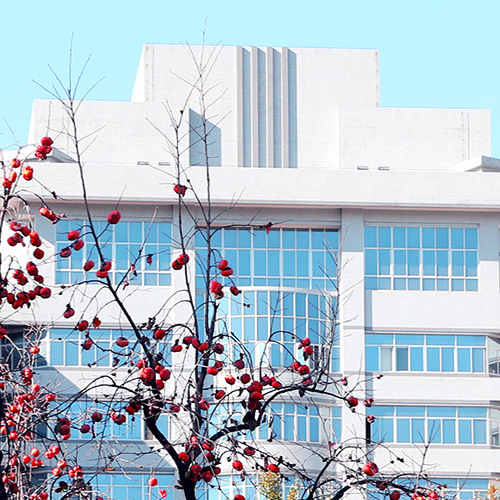 北京理工大學-流金歲月
