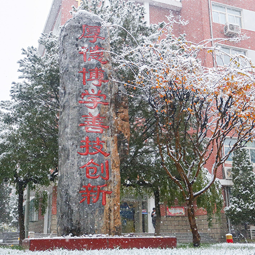 我的大學