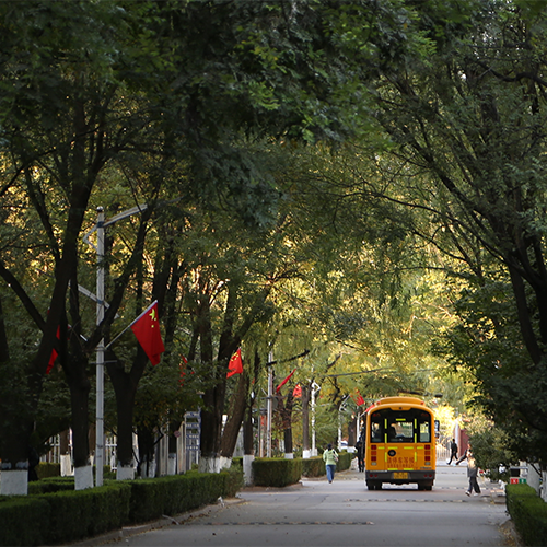 我的大學