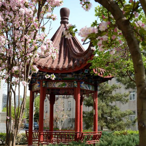 我的大學