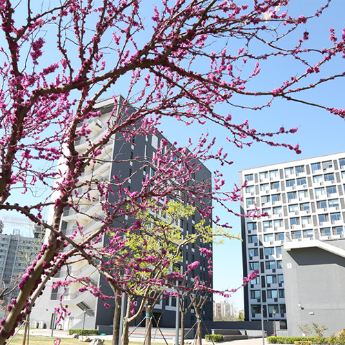 北京經(jīng)濟(jì)管理職業(yè)學(xué)院-大學(xué)文化