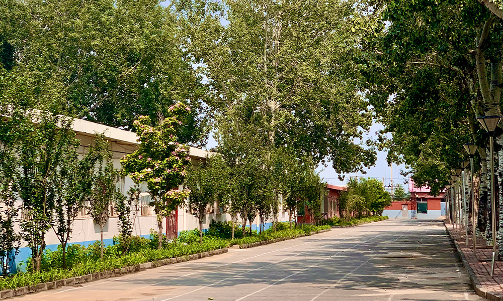 北京藝術傳媒職業(yè)學院 風起四海 · 各自珍重