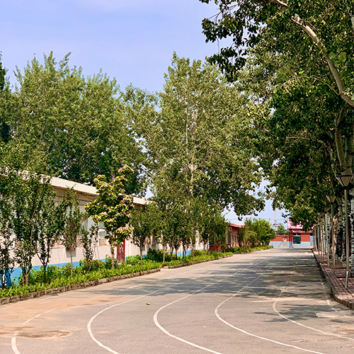 北京藝術傳媒職業(yè)學院-大學文化
