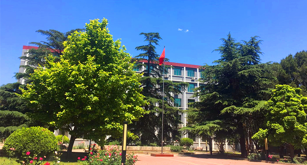 我的大學 - 我的萬水千山