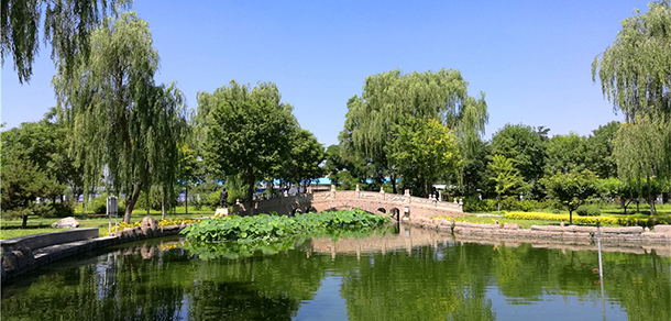 我的大學-大學志