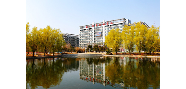 我的大學(xué)-大學(xué)志