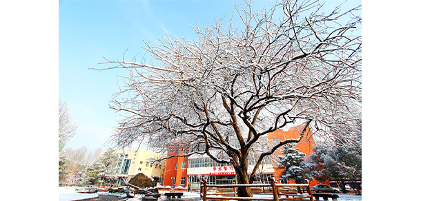 我的大學(xué)-大學(xué)志