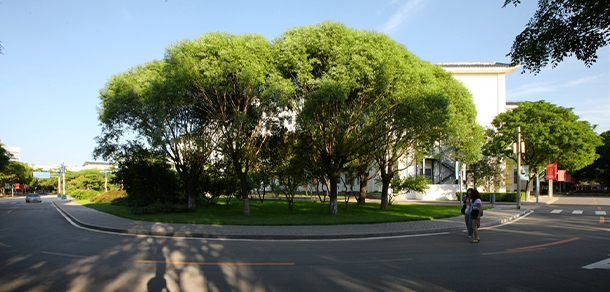 北京財貿職業(yè)學院 - 最美大學