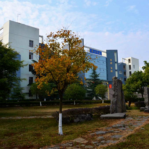 大學簡介