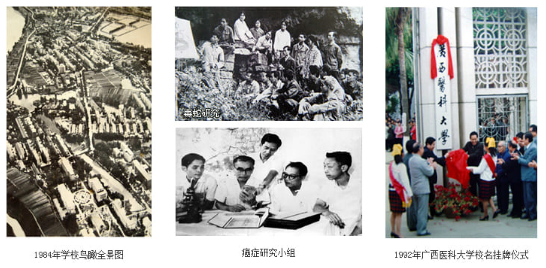 改革開放以后（1978年—2023年）