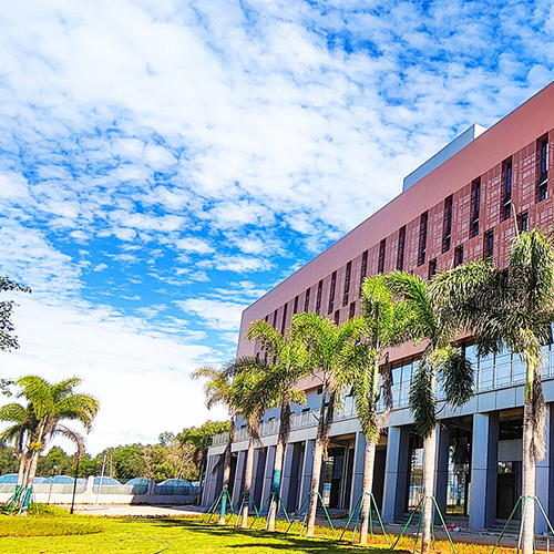 海南東方新絲路職業(yè)學院-大學文化