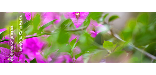 海南經(jīng)貿(mào)職業(yè)技術學院 - 最美大學