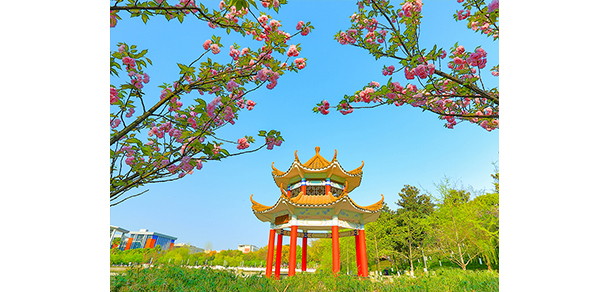 西南政法大學 - 最美大學