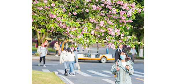 西南政法大學 - 最美大學