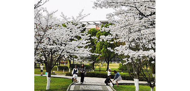 西南政法大學 - 最美大學