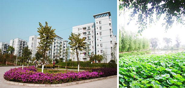 我的大學-大學志