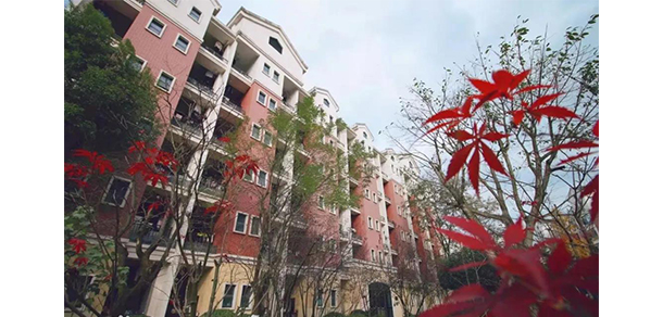 重慶財經(jīng)學院 - 最美大學