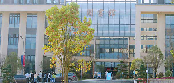 我的大學(xué)-大學(xué)志