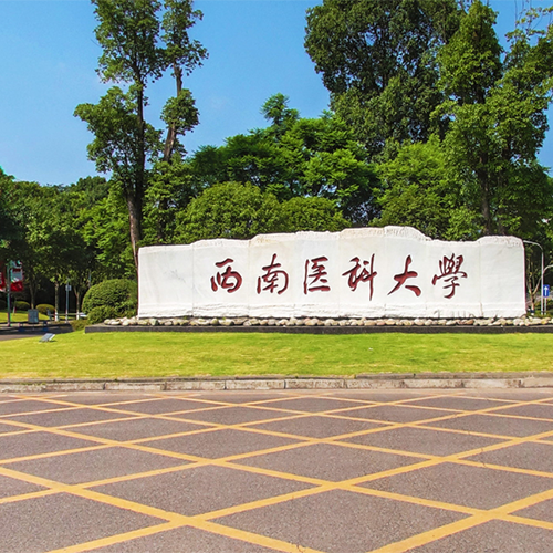 西南醫(yī)科大學(xué)-最美校園