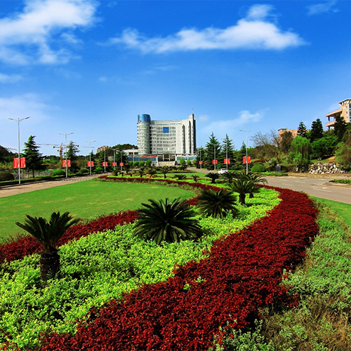 大學簡介