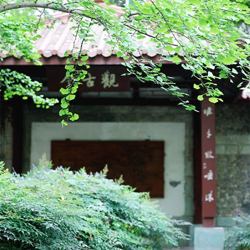陌上花開