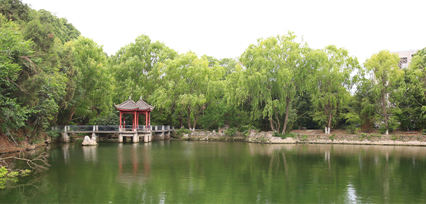 綿陽師范學院 - 最美大學
