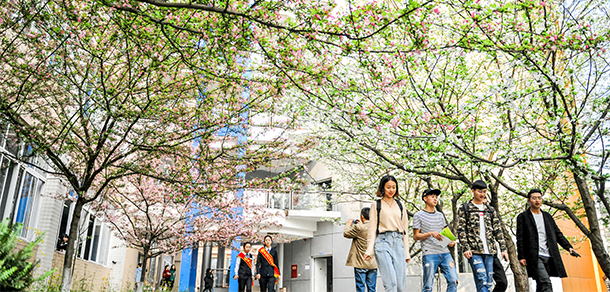 樂山師范學院 - 最美大學