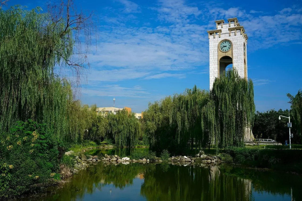 西南財經(jīng)大學(xué)-校園風(fēng)景