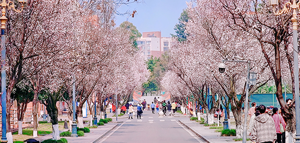西南民族大學 - 最美大學