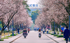 西南民族大學 - 我的大學
