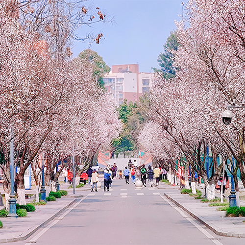 大學(xué)簡介