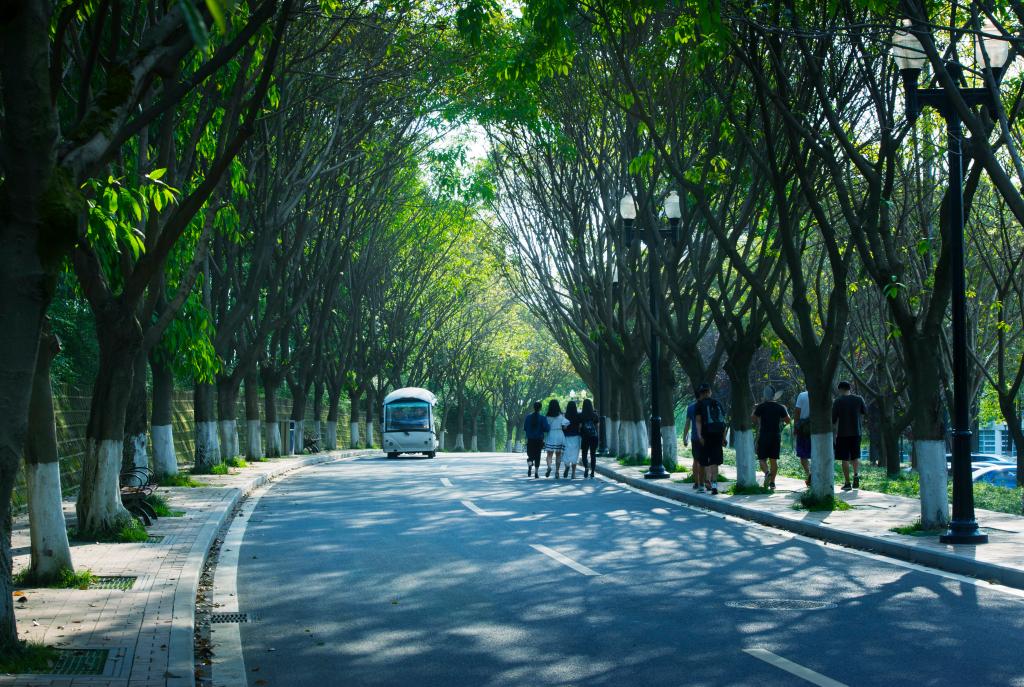 成都大學 我的大學