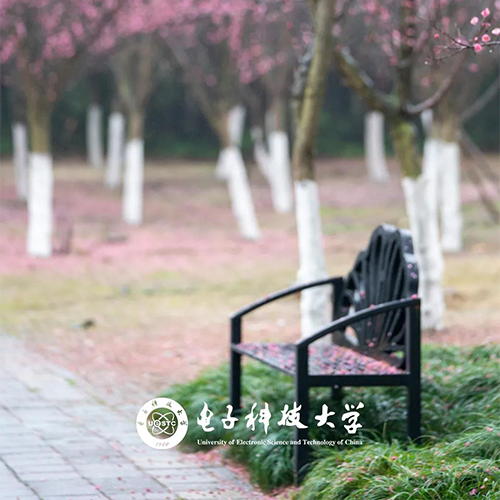 電子科技大學(xué)-流金歲月