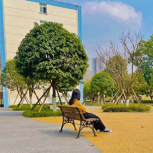 電子科技大學(xué)-大學(xué)文化