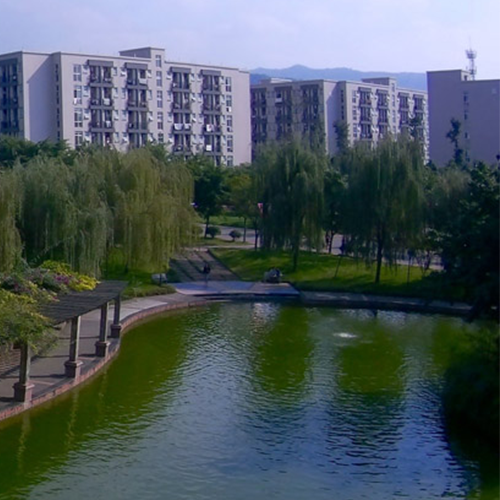 大學(xué)簡介