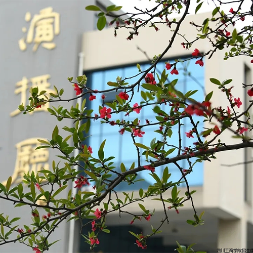 陌上花開