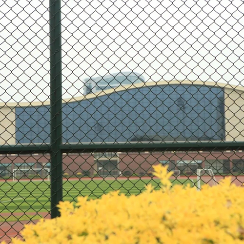我的大學(xué)