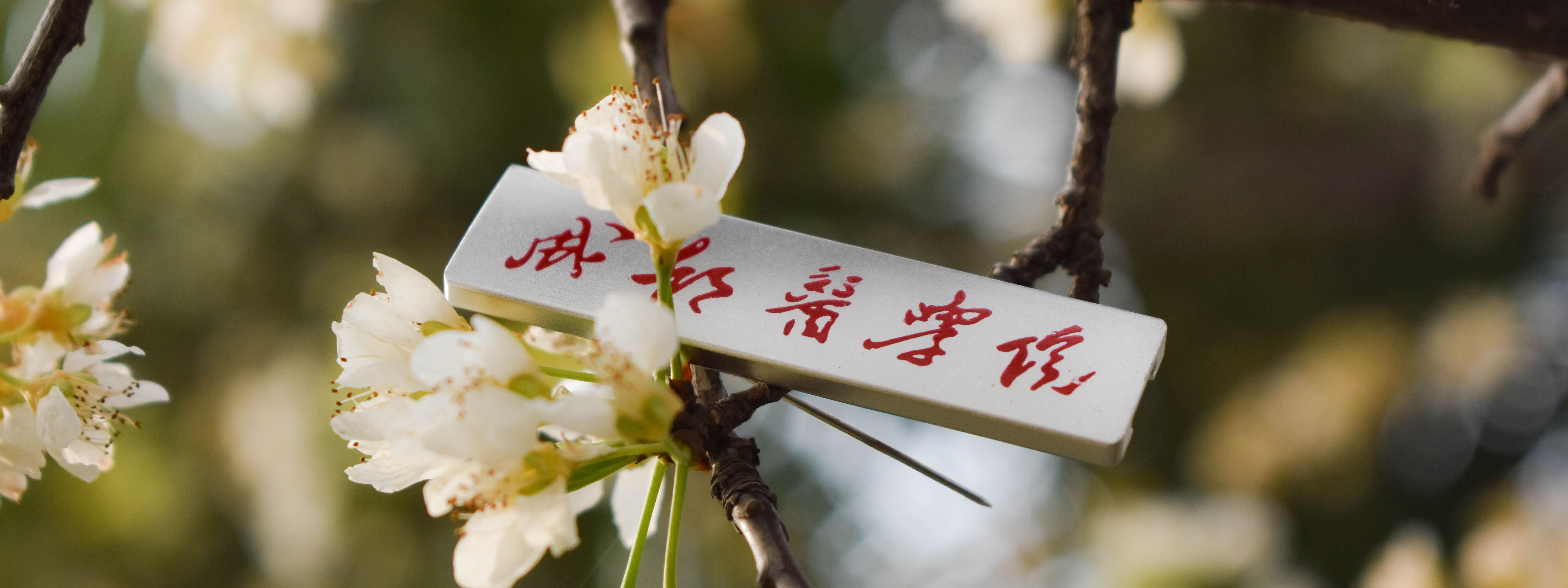 成都醫(yī)學院 我的大學