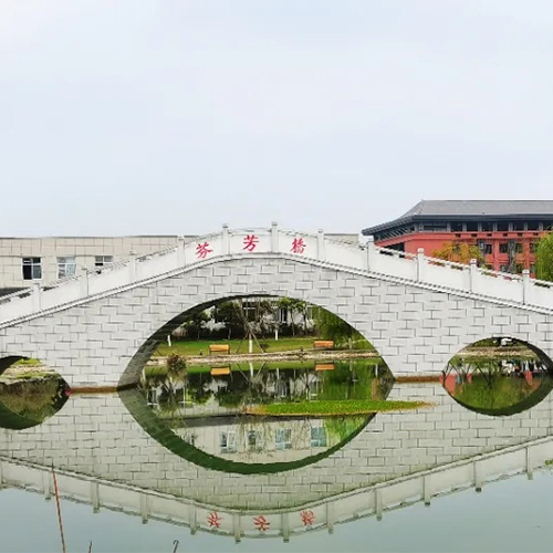 我的大學(xué)