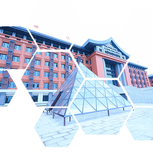 成都錦城學(xué)院-大學(xué)文化