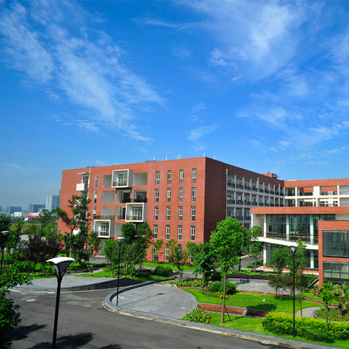 我的大學