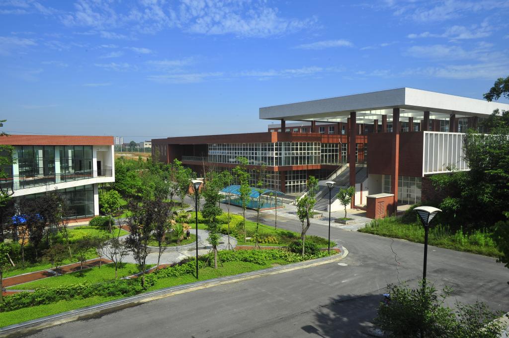 西南財經大學天府學院 我的大學