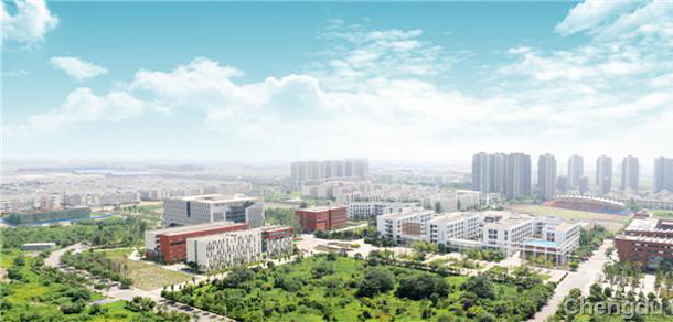 我的大學(xué)-大學(xué)志