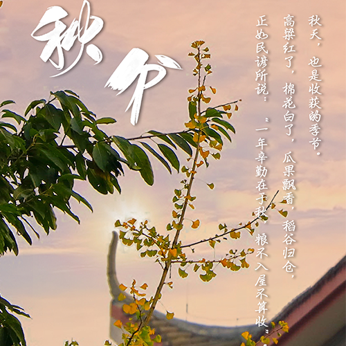 四川電影電視學(xué)院-大學(xué)文化