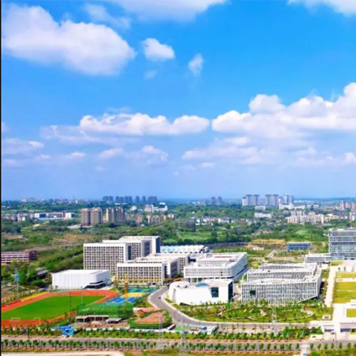 我的大學(xué)