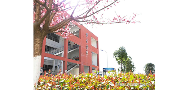 四川幼兒師范高等?？茖W(xué)校 - 最美大學(xué)